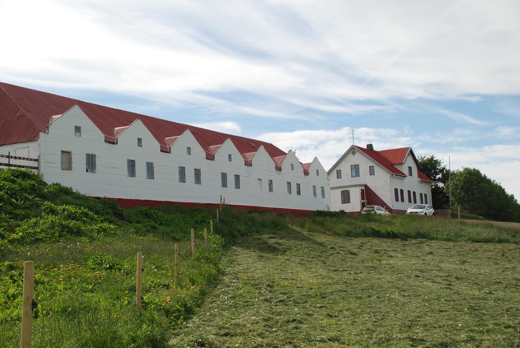 Helluland Guesthouse Saudarkrokur Extérieur photo