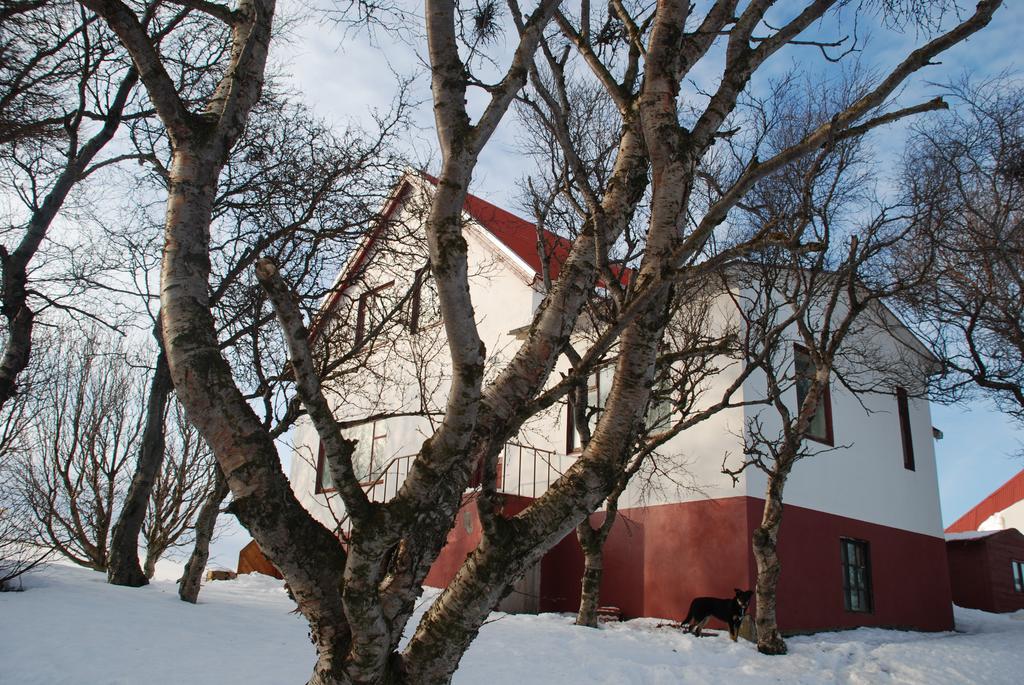 Helluland Guesthouse Saudarkrokur Extérieur photo